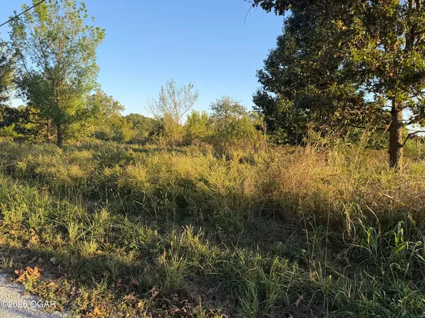 0 Iguana Dr, Joplin, MO 64804