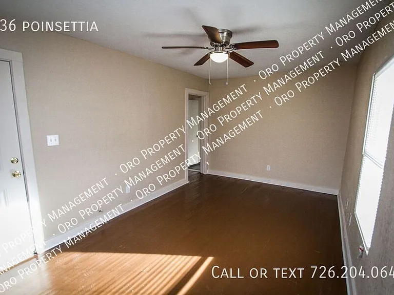 936 Poinsettia — Photo 17