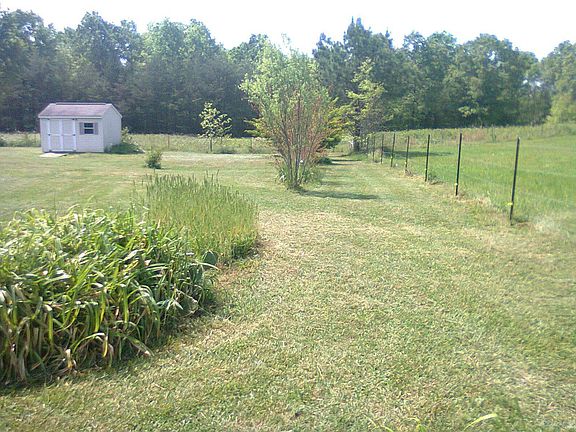 470180_376568482394402_799312745_o