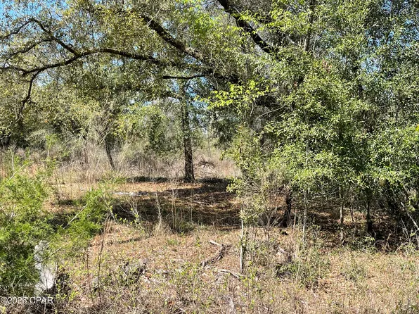 0 Speights Way, Bascom, FL 32423