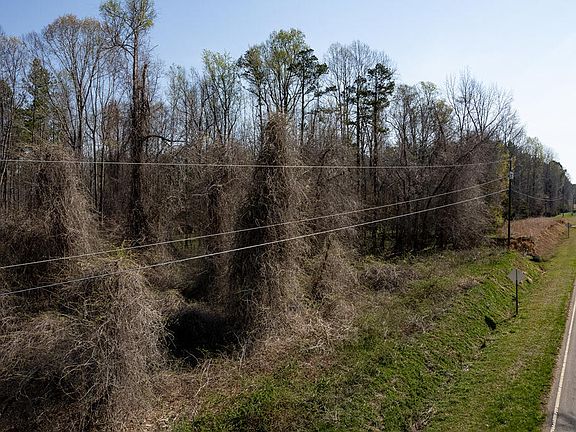 3rd image of 8438 Charlie Stovall Rd Lot 23