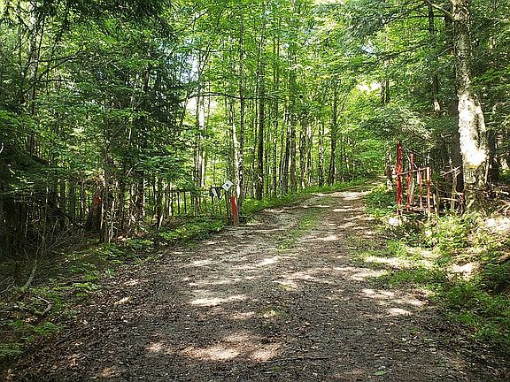 2nd image of 110 Stone Rd