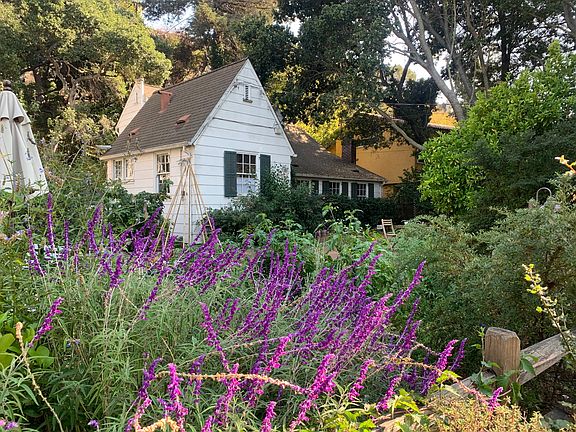 Large front yard garden