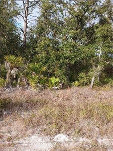 6887 W Oak Park Blvd, Homosassa, FL, 34446