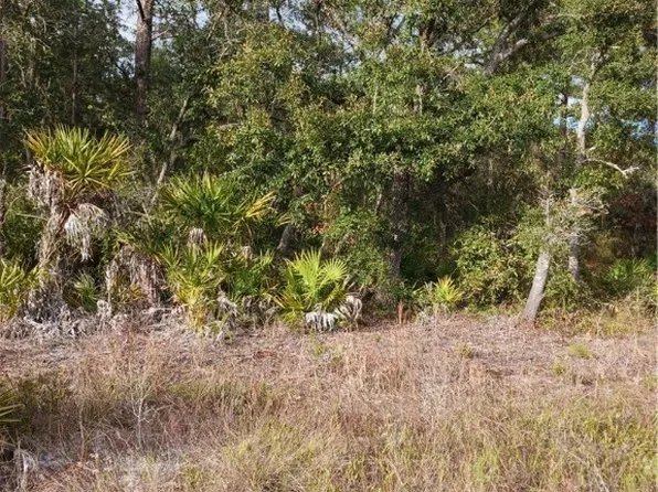 6887 W Oak Park Blvd, Homosassa, FL 34446