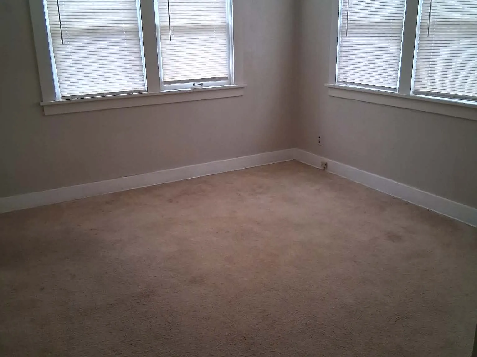 1 bed, 725 sqft, $1,025 — Photo 3
