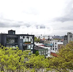 Rented by Bold New York