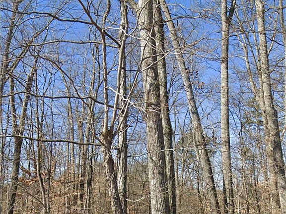 4th image of 28 Madeline Ln Lot 28