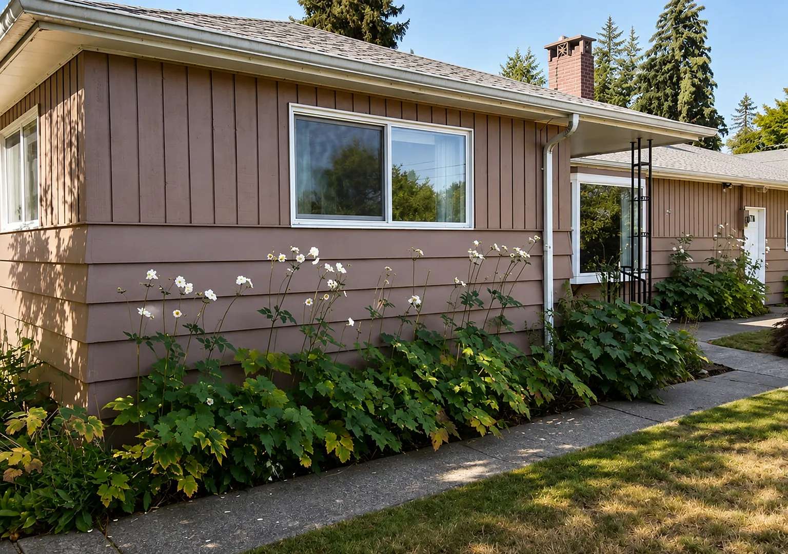 Pet Friendly 3 BD in Tumwater — Photo 1