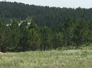 26686 Maverick Way, Custer, SD 57730