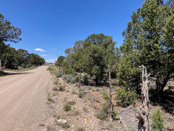 4th image of Lot 3 (TBD) County Road 22B