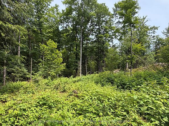 3rd image of 0 Matthiasville Rd