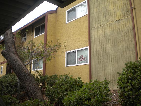 4th image of 6333 College Grove Way