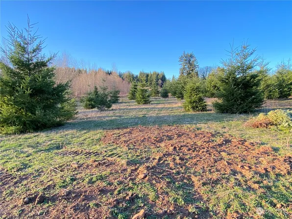 0 Lot 1 Brockway Road, Chehalis, WA 98532