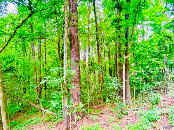 8 Riverview Dr, Decatur, AL 35603