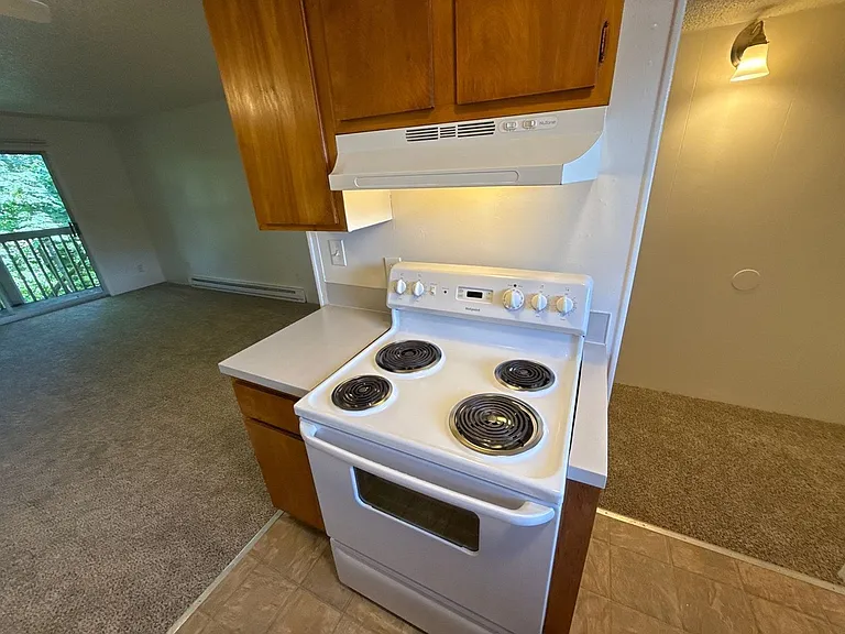 528 SW Levens St #11 — Photo 11