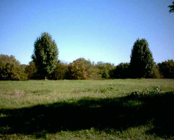 2nd image of 41 Bramblewood St Lot 41