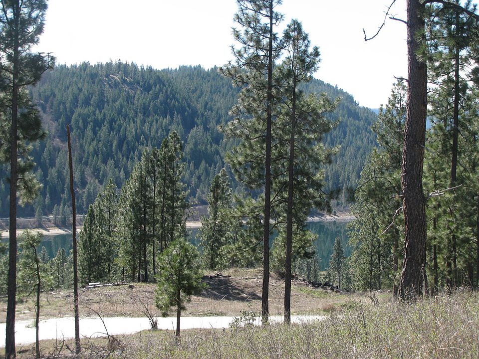1st image of 2700 Northport Flat Creek Rd