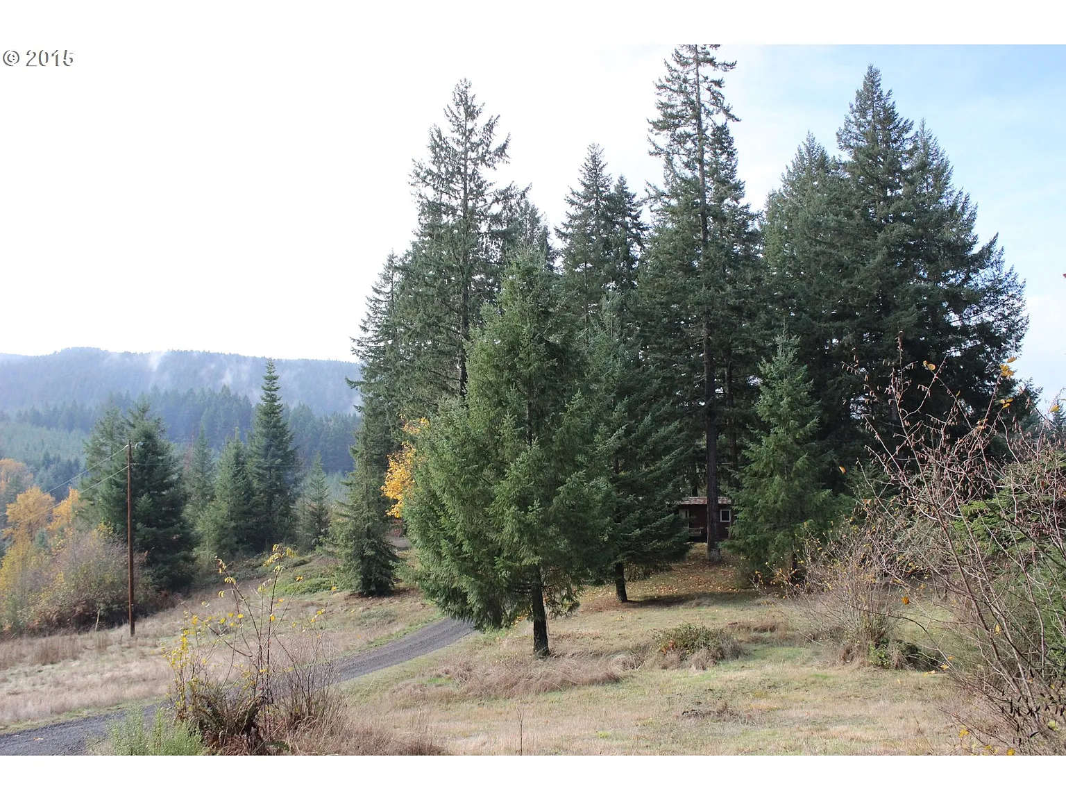 82040 Bear Creek Rd photo 1