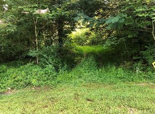 46 Creek Source Ln #8, Saluda, NC 28773