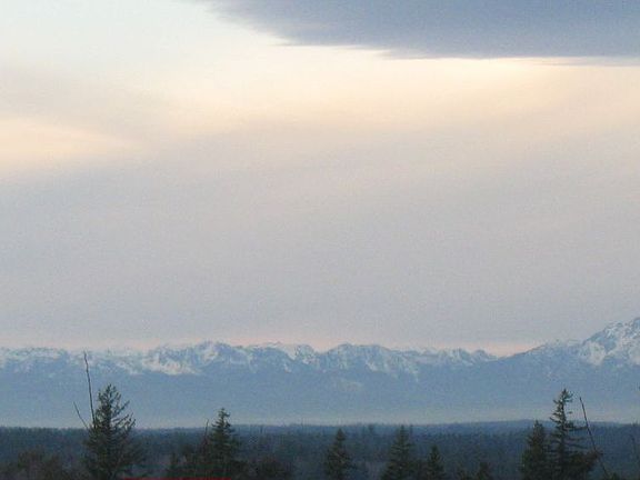 view from front porch.