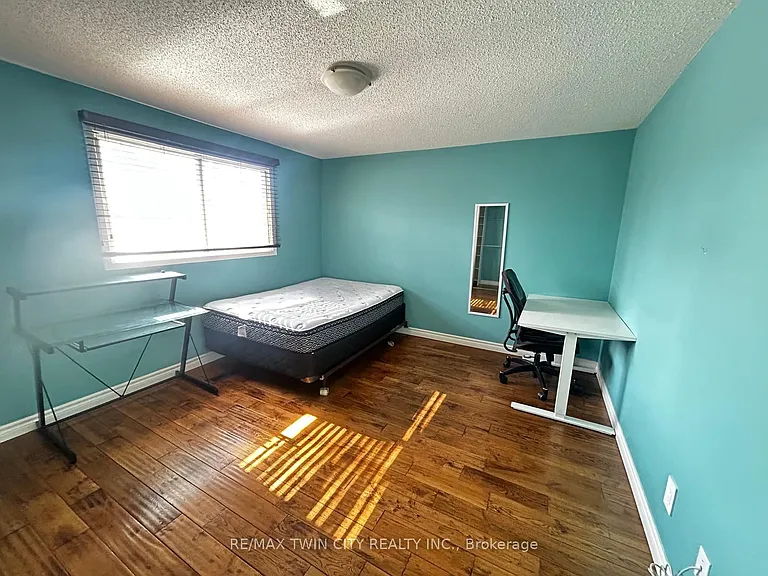 254 Camille Cres — Photo 13