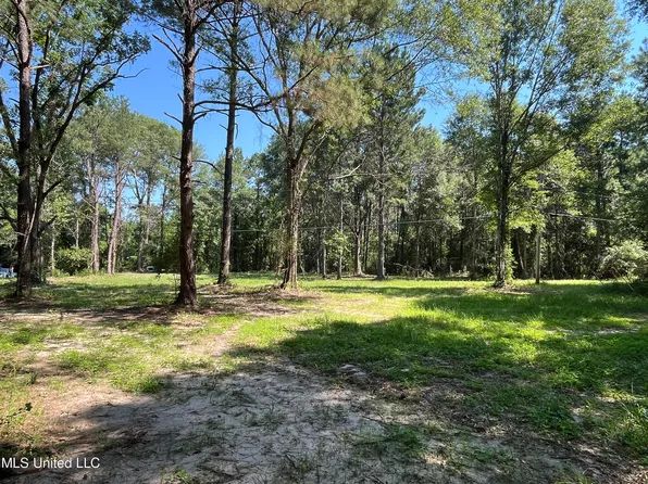 Preacher Powell Rd, Carriere, MS 39426