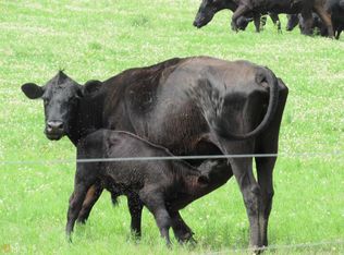 1344 Hickory Crossing Rd, Hartwell, GA 30643