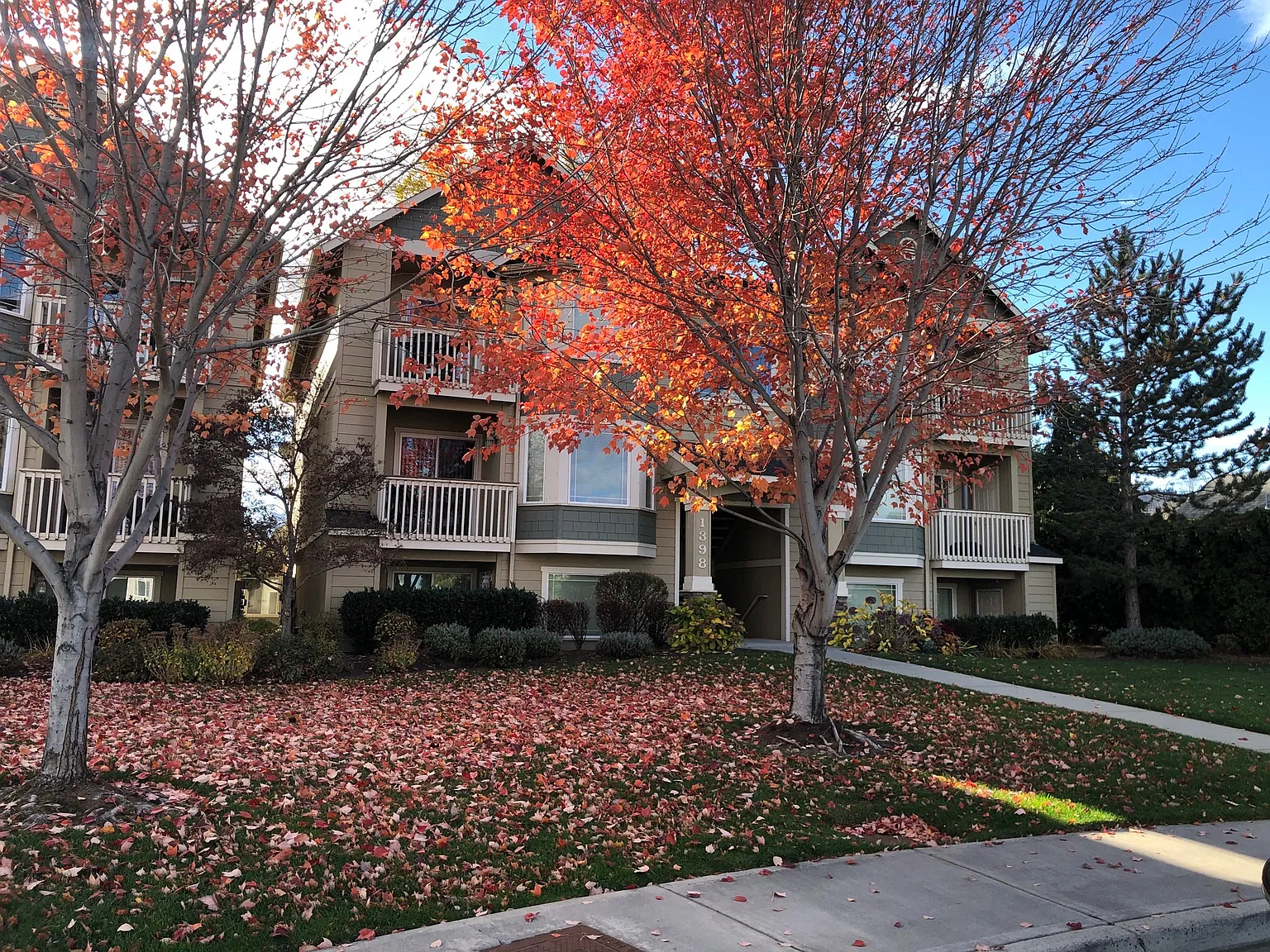 2 bed, 1000 sqft, $1,665 — Photo 1
