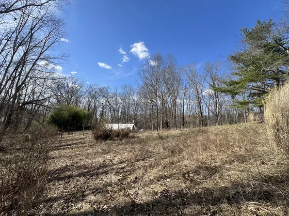 Vago Rd, Frankford, WV 24938