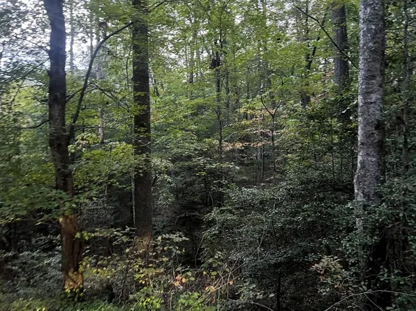 Tbd Candy Mountain Rd, Murphy, NC 28906
