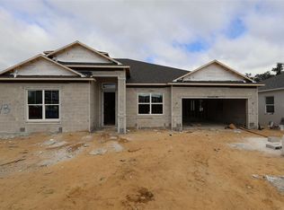 705 Pointe Emerson Blvd, Apopka, FL 32703