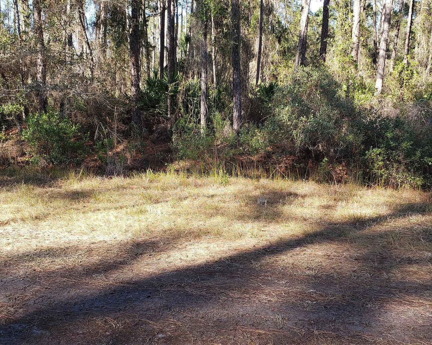 106 HELEN Avenue, FL 32139 MLS 2004542 Zillow