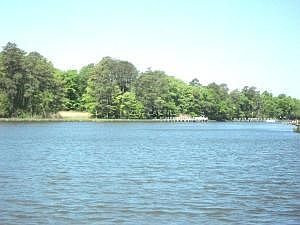 REAR WATERFRONT VIEW