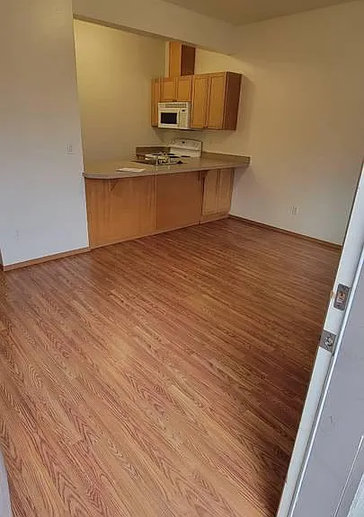 Living space and kitchen from front door