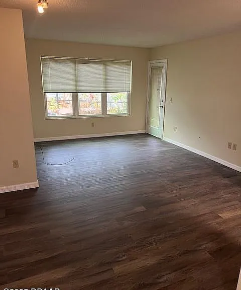 1401 S Palmetto Ave #212 — Photo 8