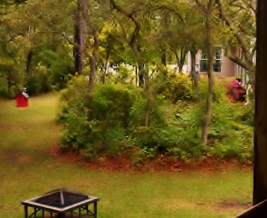 3rd image of 149 E Ivybridge Dr