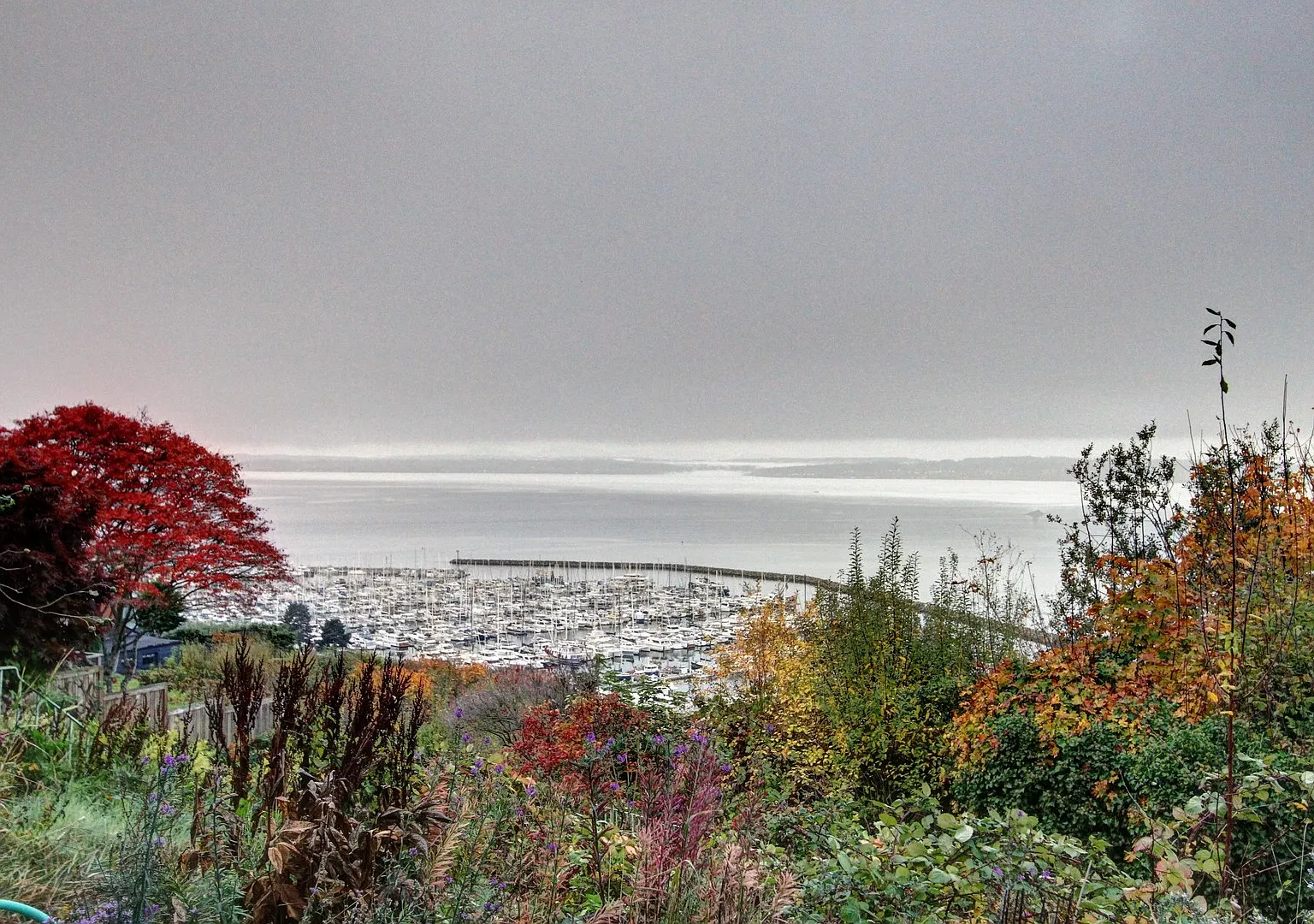Beautiful 1940's home with stunning view of Pufet sound- Lease takeover through 6/30/2027 — Photo 2