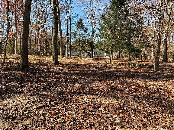 from rear property line