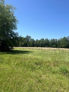 0 Pinehurst Dr, Carriere, MS, 39426