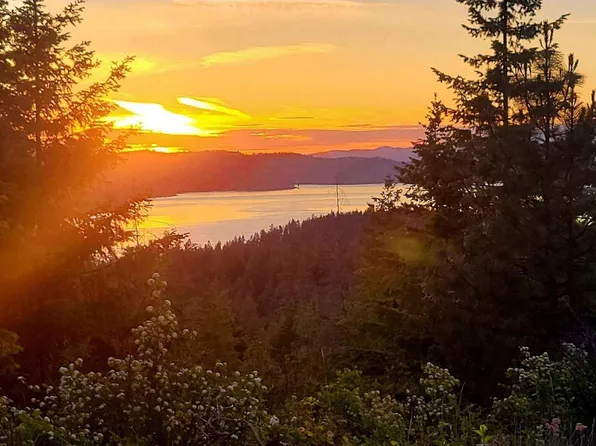 5254 E Mabel Ln, Harrison, ID 83833