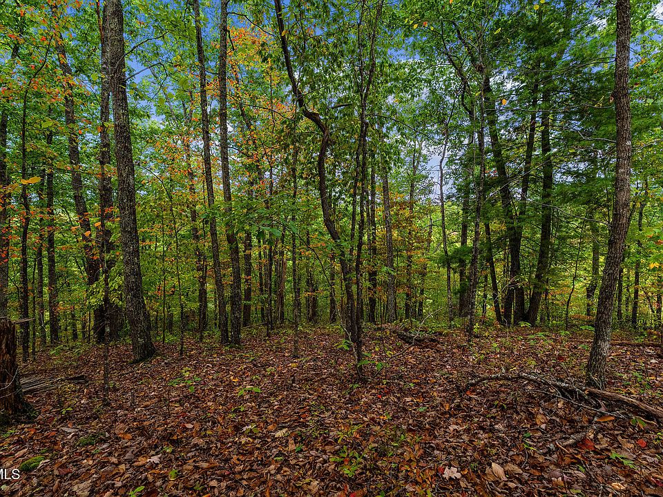 1st image of Rasnick Hollow Rd