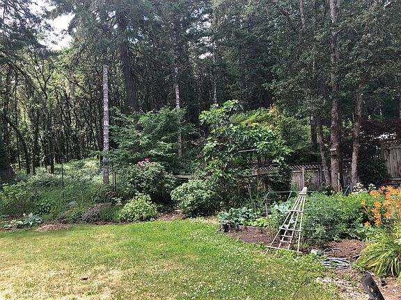 Big yard 