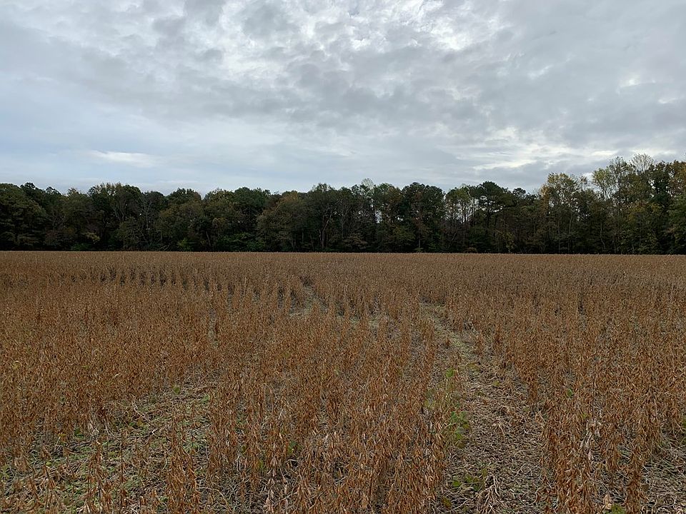 2nd image of 1530 Muddy Gut Rd