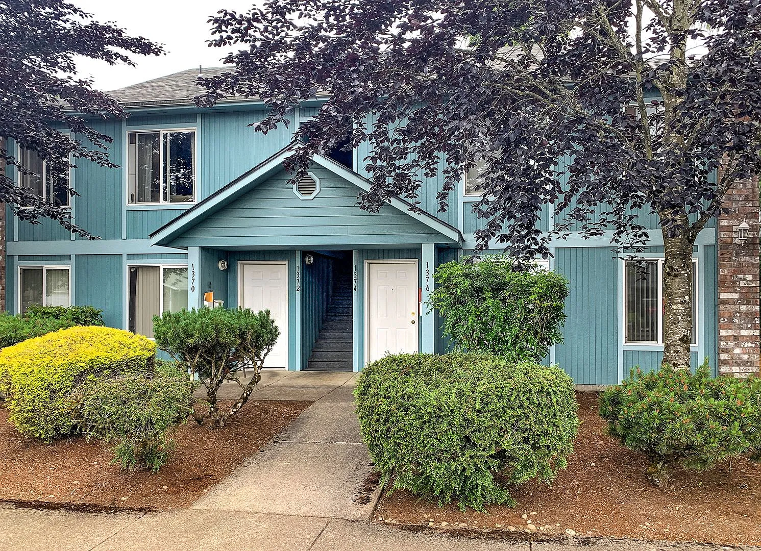 LOCUST1340 — Photo 1
