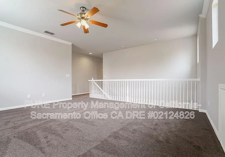 4909 Concordia Dr — Photo 23