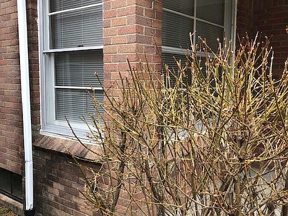 4th image of 13163 Argyle St