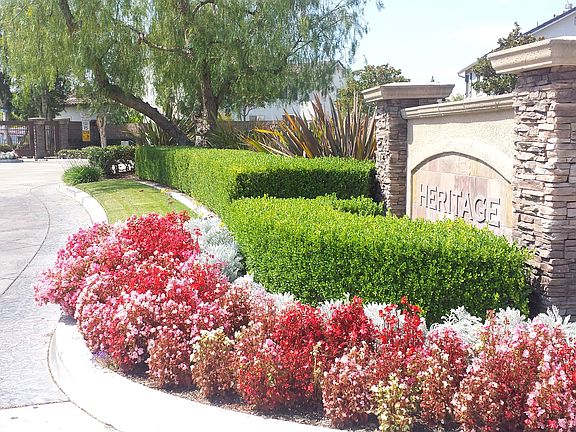 2nd image of 12101 Chili Pepper Ln