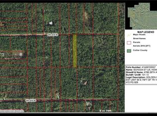 4786 28th Ave SE, Naples, FL 34117