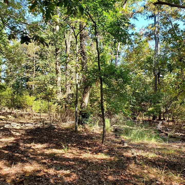 2nd image of Shadowood Dr